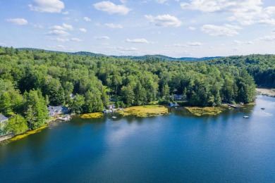 Lake Home For Sale in Wilmington, Vermont