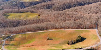 Premier Building Lots on Dale Hollow Lake in Albany, Kentucky - photo 6