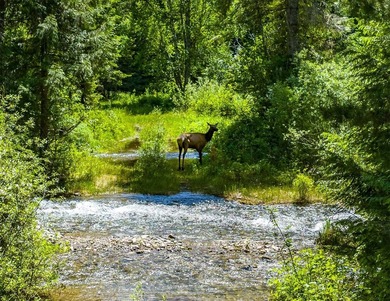 Fly in, unplug, and breathe deep on 160 private acres of untamed - photo 6