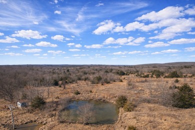 10 Acres with Pond | Prime Hunting Tract | 15 Minutes East of - photo 8