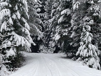 Fly in, unplug, and breathe deep on 160 private acres of untamed - photo 10