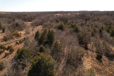 10 Acres with Pond | Prime Hunting Tract | 15 Minutes East of - photo 10