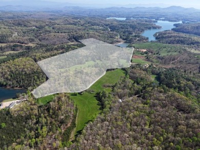 Lake Lot For Sale in Blairsville, Georgia