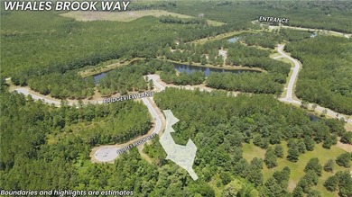 (private lake, pond, coastal) Lot For Sale in Waverly Georgia