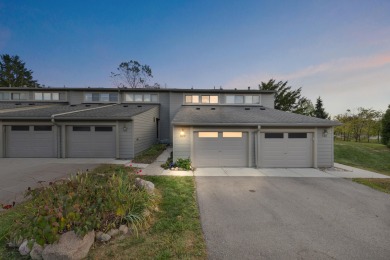 Lake Condo ActiveUnderContr in Ann Arbor, Michigan
