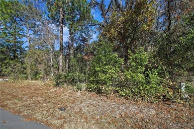Nice corner lot property .28 of an acre is located in Sugarmill - photo 1