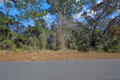 Nice corner lot property .28 of an acre is located in Sugarmill - photo 2