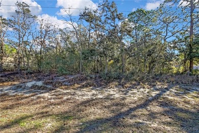 Nice corner lot property .28 of an acre is located in Sugarmill - photo 4