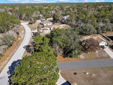 Nice corner lot property .28 of an acre is located in Sugarmill - photo 6