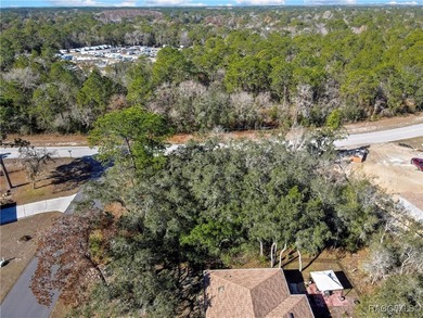 Nice corner lot property .28 of an acre is located in Sugarmill - photo 7