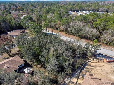 Nice corner lot property .28 of an acre is located in Sugarmill - photo 8