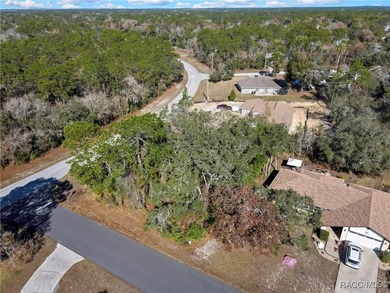 Nice corner lot property .28 of an acre is located in Sugarmill - photo 9