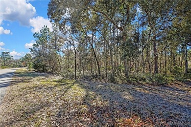 This corner lot property is located in Oak Village of Sugarmill - photo 2