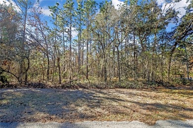 This corner lot property is located in Oak Village of Sugarmill - photo 3