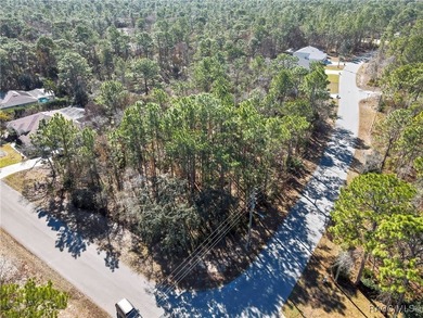 This corner lot property is located in Oak Village of Sugarmill - photo 5