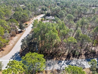 This corner lot property is located in Oak Village of Sugarmill - photo 6