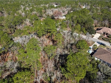 This corner lot property is located in Oak Village of Sugarmill - photo 8