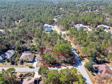 This corner lot property is located in Oak Village of Sugarmill - photo 10
