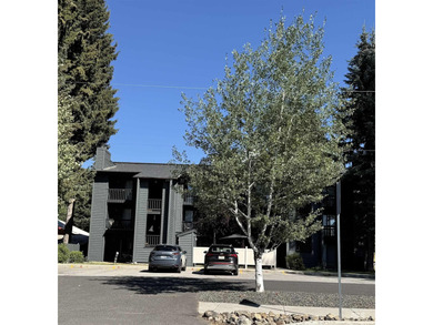 Payette Lake Condo For Sale in Mccall Idaho