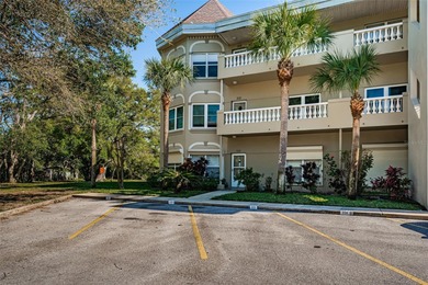 Harbor Lake Condo For Sale in Clearwater Florida