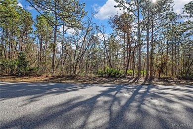 This property is located in Oak Village of Sugarmill Woods which - photo 1