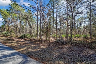 This property is located in Oak Village of Sugarmill Woods which - photo 2