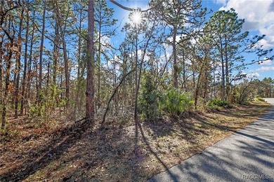 This property is located in Oak Village of Sugarmill Woods which - photo 3