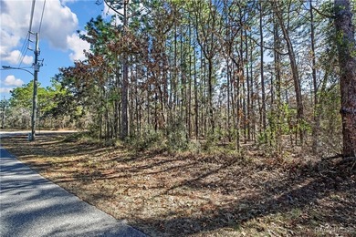 This property is located in Oak Village of Sugarmill Woods which - photo 4