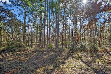 This property is located in Oak Village of Sugarmill Woods which - photo 5