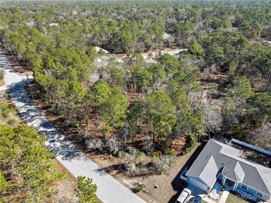 This property is located in Oak Village of Sugarmill Woods which - photo 7