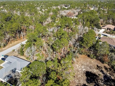 This property is located in Oak Village of Sugarmill Woods which - photo 9