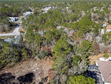 This property is located in Oak Village of Sugarmill Woods which - photo 10