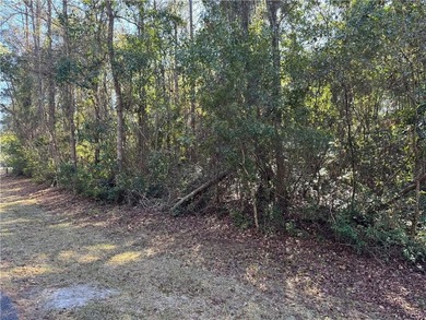 South Newport River - McIntosh County Lot Active Under Contract in Townsend Georgia