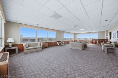 Welcome to Marine Towers East! This updated 1-bedroom, 1-bath - photo 27