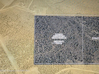 Navajo Reservoir Acreage For Sale in Middle Mesa New Mexico