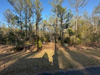 Lake Acreage For Sale in White Oak, Georgia