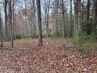 Moncove Lake Lot For Sale in Gap Mills West Virginia