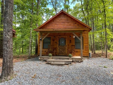 Lake Home For Sale in Murphy, North Carolina