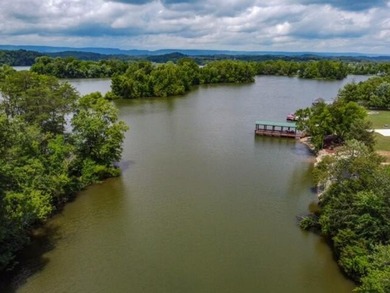 Chickamauga Lake/Tennessee River residential Waterfront Property - photo 4