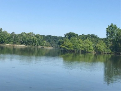 Chickamauga Lake/Tennessee River residential Waterfront Property - photo 5