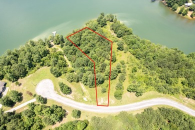 Lake Lot For Sale in Double Springs, Alabama