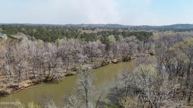 One-of-a-Kind Riverfront Retreat on 13.41 Acres -- Monroe County - photo 17