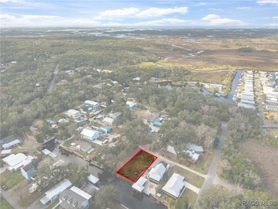 Rare Old Homosassa waterfront lot! Build your dream coastal - photo 7
