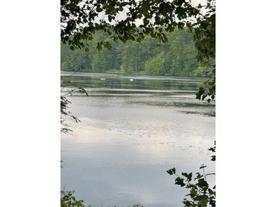 Nature Lovers and Retreat Farmers..Get Lost in the woods - photo 20