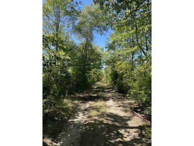 Nature Lovers and Retreat Farmers..Get Lost in the woods - photo 22