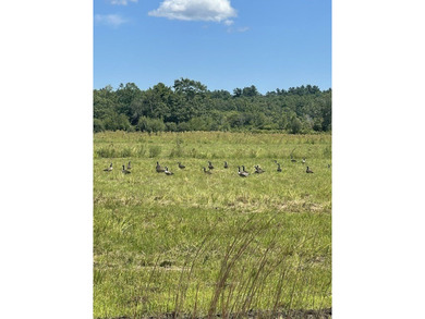 Nature Lovers and Retreat Farmers..Get Lost in the woods - photo 25