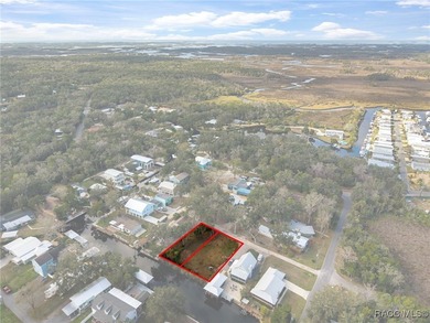 Rare Old Homosassa waterfront lot! Build your dream coastal - photo 10