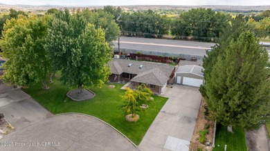 San Juan River Home For Sale in Bloomfield New Mexico