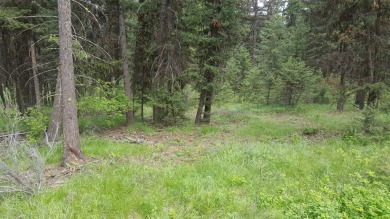 (private lake, pond, creek) Acreage For Sale in Plains Montana