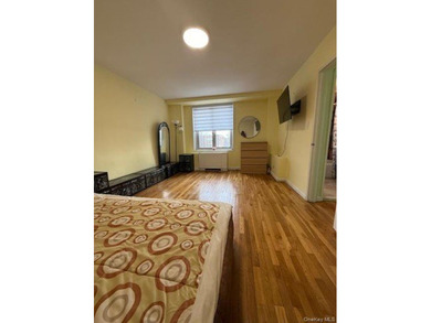 Sun-filled, east-facing, well-maintained, spacious apartment - photo 10